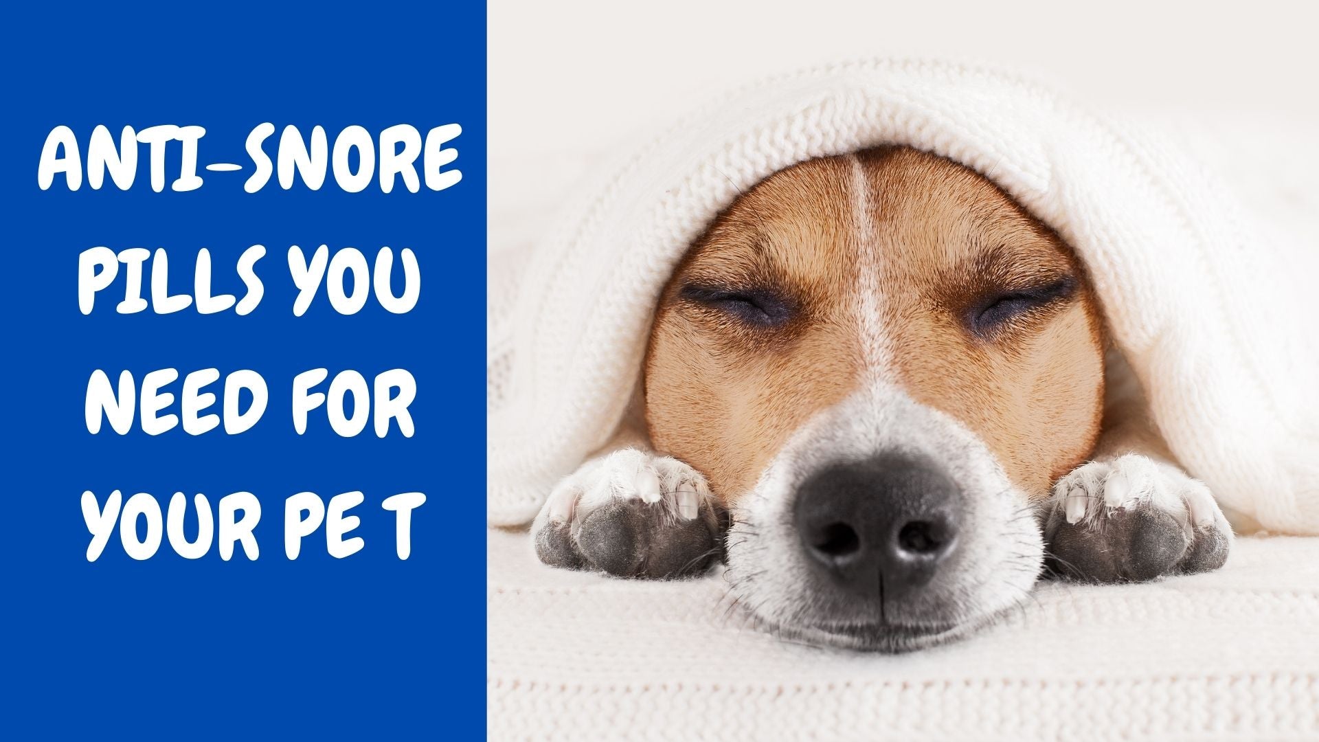 ANTISNORE PILLS YOU NEED FOR YOUR PETS