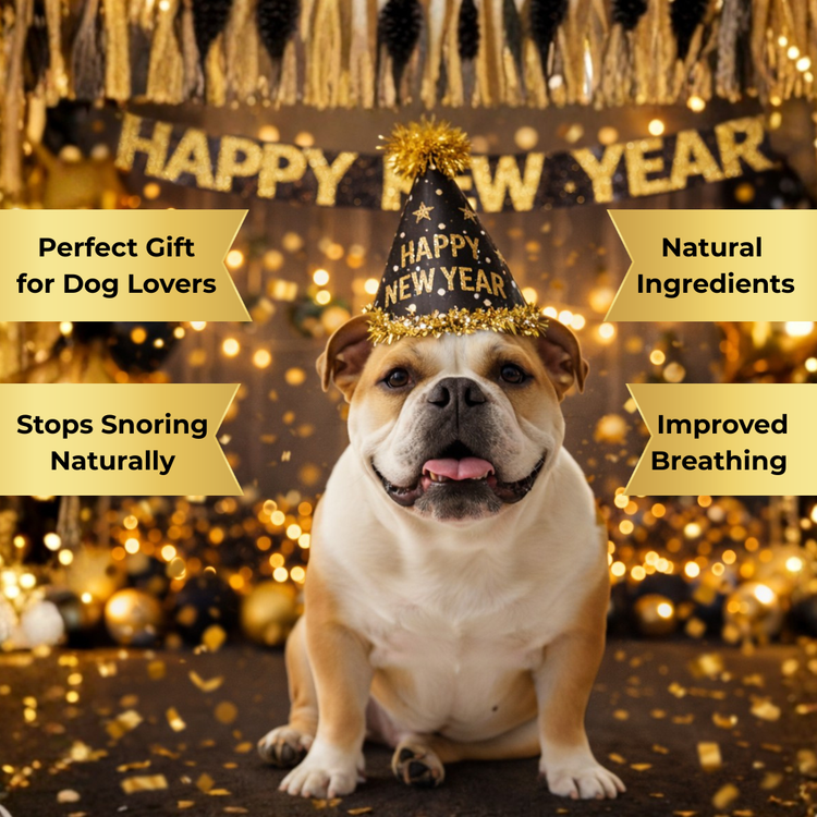 Bulldog wearing Happy New Year hat with banners promoting natural snoring relief and better breathing for dogs