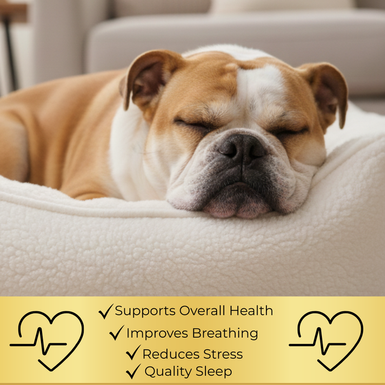 SnoreStop for Pets Anti-Snoring Tablets
