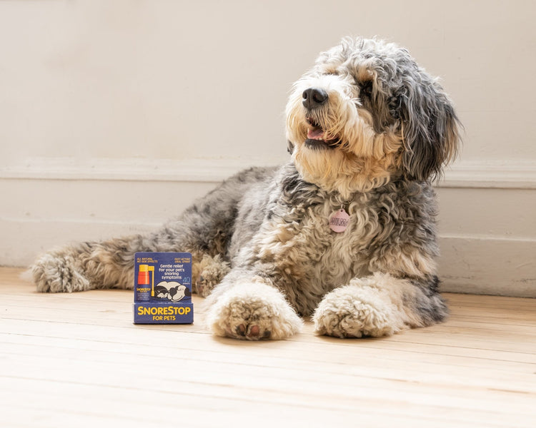 SnoreStop for Pets Anti-Snoring Spray - SnoreStop