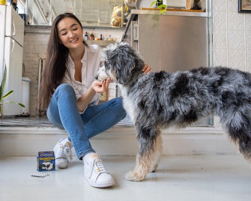 SnoreStop for Pets Anti-Snoring Tablets - SnoreStop