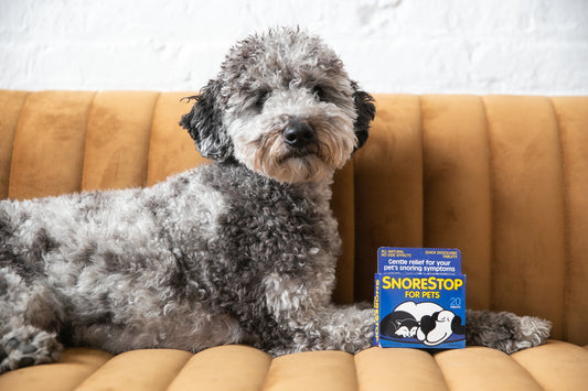 SnoreStop for Pets Anti-Snoring Tablets